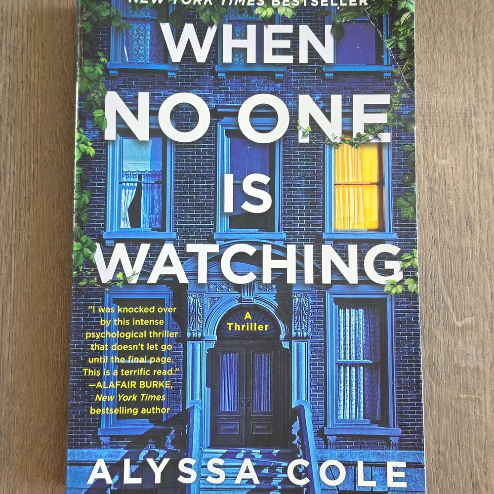 When No One Is Watching paperback thriller book
